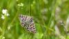 183440 – Photo : Greenlife – France (01)